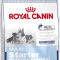 Royal Canin Maxi Starter