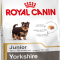 Royal Canin Yorkshire Puppy