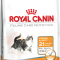 Royal Canin Hair and Skin Care 33