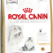 Royal Canin Persian 30