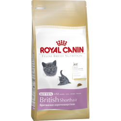 Royal Canin Kitten British Shorthair