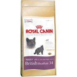 Royal Canin  British Shorthair Adult