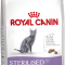 Royal Canin STERILISED 37