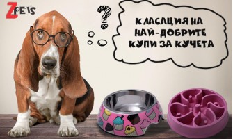 Класация на най-добрите купи за кучета