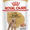 Royal Canin Poodle Pouch 85 гр.