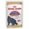 Royal Canin British Shorthair 85 гр.