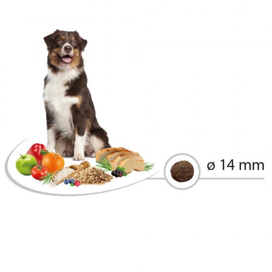 SELECT Adult Medium Пиле с ориз храна за куче