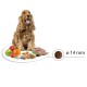 SELECT Sensitive Lamb & Rice храна за куче SELECT Sensitive Lamb & Rice храна за куче