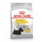 Royal Canin Mini Dermacomfort
