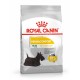 Royal Canin Mini Dermacomfort