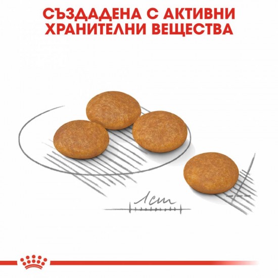 Royal Canin Mini Dermacomfort