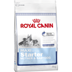 Royal Canin Maxi Starter