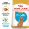 ROYAL CANIN Poodle Puppy Пудел Пъпи