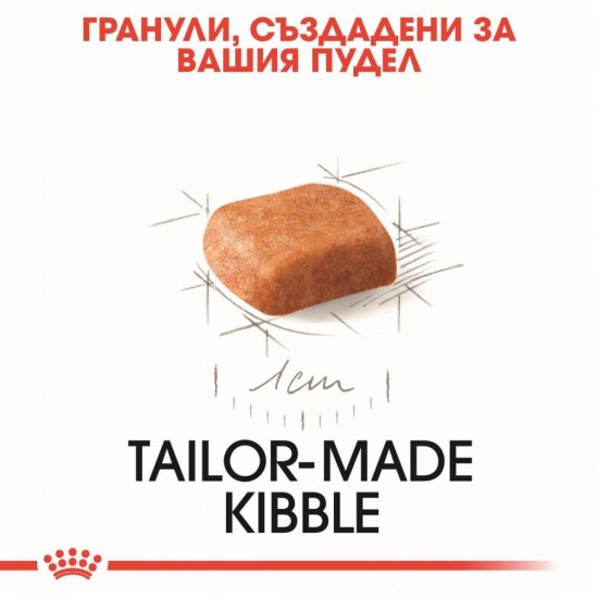 ROYAL CANIN Poodle Puppy Пудел пъпи ROYAL CANIN Poodle Puppy Пудел пъпи