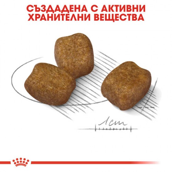 ROYAL CANIN Mini Dental Care Dog храна за куче ROYAL CANIN Mini Dental Care Dog храна за куче