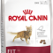 Royal Canin Fit 32