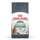 Royal Canin Digestive Care Cat Royal Canin Digestive Care Cat