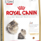 Royal Canin Kitten Persian 32