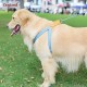 Нагръдник от памучна лента OMBRE DOG LEMI 