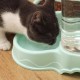 Диспенсър за вода за домашен любимец 3 литра Диспенсър за вода за домашен любимец 3 литра