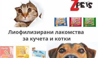 Иновация в храненето: Защо лиофилизираните лакомства Dentalight Choco-Bar са новият абсолютен хит за кучета и котки?