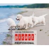 Professional Picart