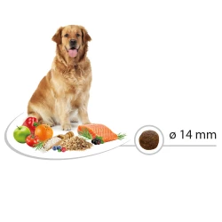 SELECT Sensitive Salmon & Rice храна за куче