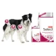 SELECT Vet Diet Gastrointestinal Храна за куче за по-добро храносмилане