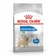 Royal Cannin Mini Light