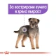 ROYAL CANIN Mini Sterilised