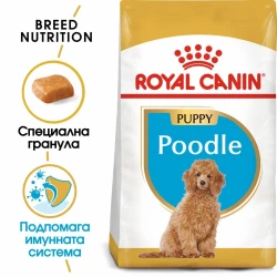 ROYAL CANIN Poodle Puppy Пудел Пъпи