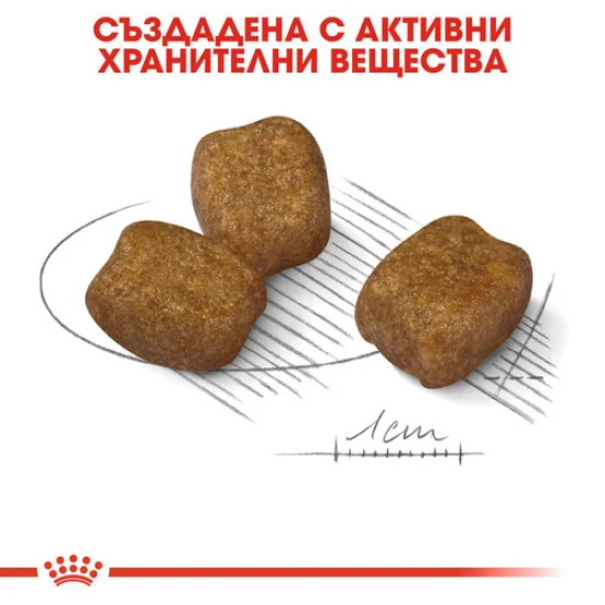 ROYAL CANIN Mini Dental Care Dog храна за куче