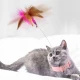 Антенка с перца и регулируем нашийник за Котка