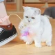Антенка с перца и регулируем нашийник за Котка