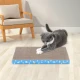 Правоъгълно драскало за котка от картон