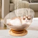 Космическа капсула за котки с легло и интерактивна игра