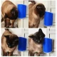 Четка "CAT IT" за монтиране на стена/ъгъл с валериана 