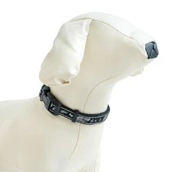 Двоен нашийник FANCY DOG ЛУКС за куче 
