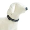 Двоен нашийник FANCY DOG ЛУКС за куче 
