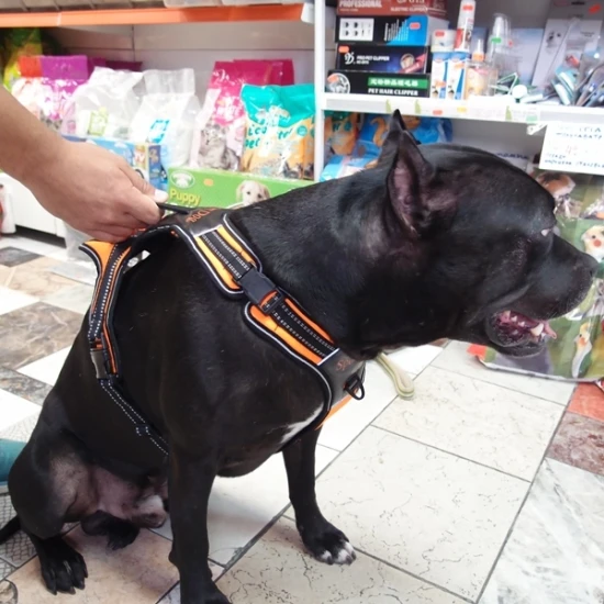 Нагръдник с къса дръжка за водене SPORT DOG за куче
