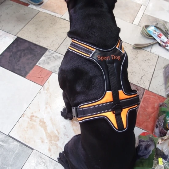 Нагръдник с къса дръжка за водене SPORT DOG за куче