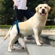 Нагръдник за подпомагане на кучета