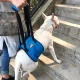 Нагръдник през корема за подпомагане на кучета