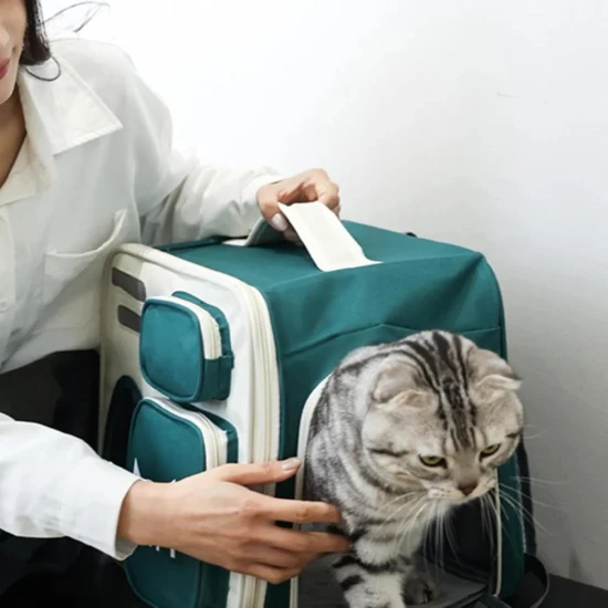 Сгъваема Раница за Транспорт на Котки и Кучета Moorpet