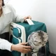 Сгъваема Раница за Транспорт на Котки и Кучета Moorpet