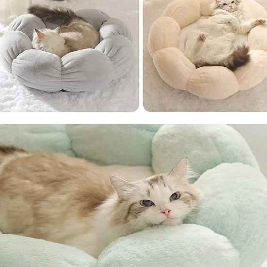 Плюшено легло Цвете