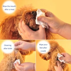Мокри кърпи PET SOFT ЯБЪЛКА