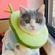 Мека яка Авокадо