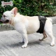 Предпазен бандаж с ластик за Куче Dog Lemi