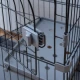 Голяма клетка за гризачи с 2 допълнителни нива